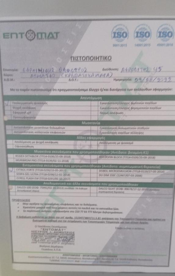 Studio In Thessaloniki Near Airport And Exit For Chalkidikiアパートメント エクステリア 写真